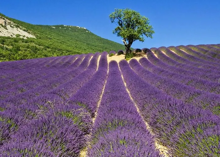 Campanile Sud 3* Valence (Drome)