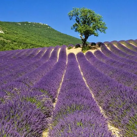 Campanile Sud 3* Valence (Drome)